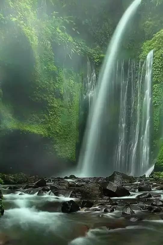 养老老轨是什么意思？